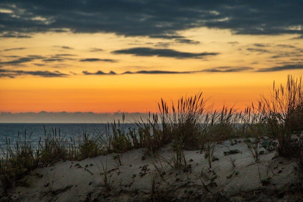 Photographie en Gironde