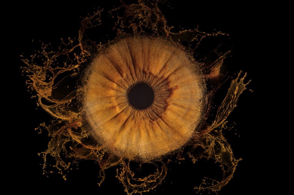 l'art de la photo d'iris