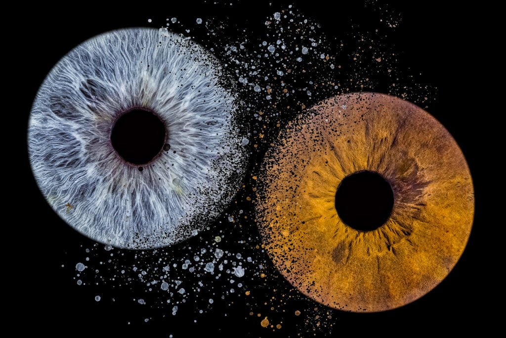 art de la photo d'iris à Bordeaux