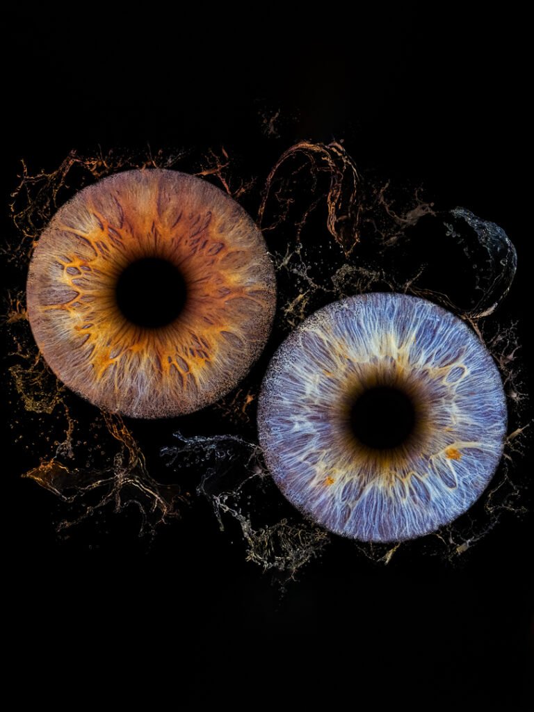 Photographie d'iris