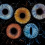 Photographie d'iris pour les animaux